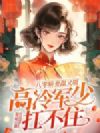 八零娇妻甜又暖,高冷军少扛不住