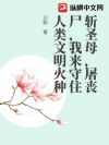 斩圣母,屠丧尸,我来守住人类文明火种